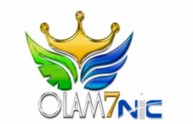 Logo7Nic